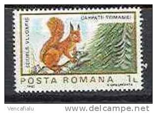 Romania 1983 - Squirell Sciurus Vulgaris, MNH - Roedores