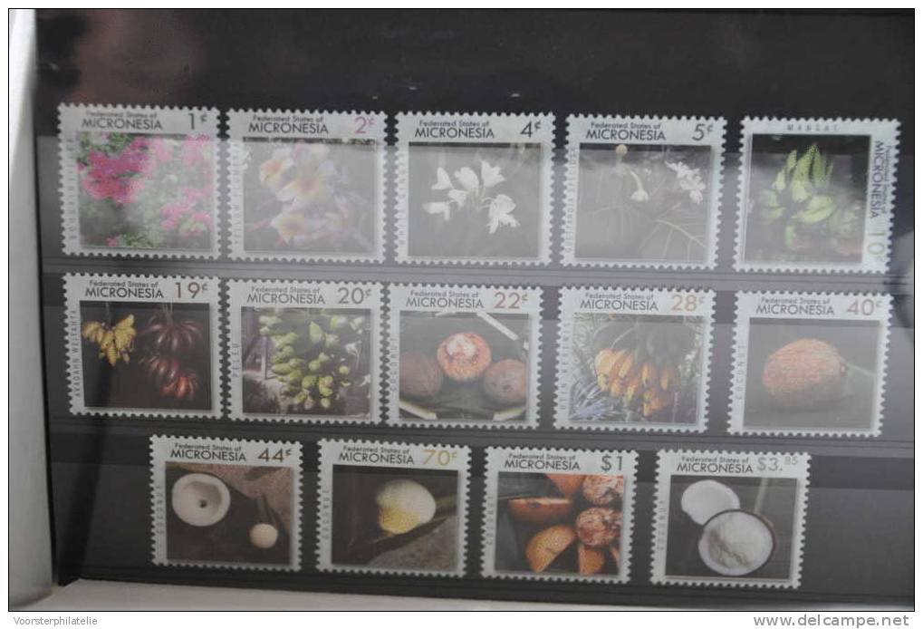 C 62 ++ MICRONESIE 2011 VRUCHTEN FRUITS FRUCHTE  MNH - Micronesië