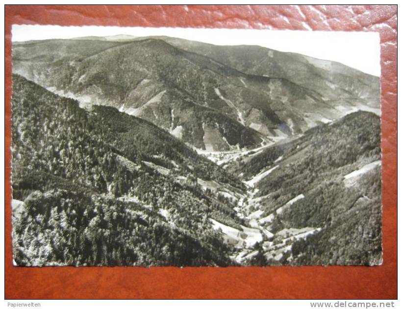 Furtwangen - Blick Vom Brend - Furtwangen