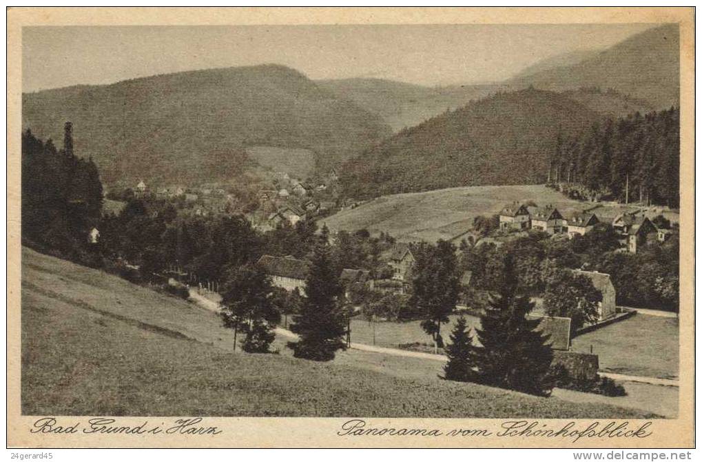 CPSM BAD GRUND IM HARTZ (Allemagne-Basse Saxe) - Panorama Vom Schonhofsblick - Bad Grund