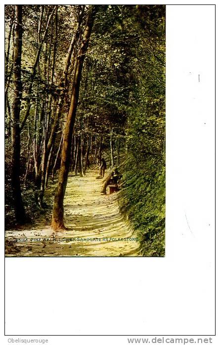 1900 -FOLKESTONE PINE WALK LAWER SANDGATE C  45164  CELESQUE TOP ANIMATION - Folkestone