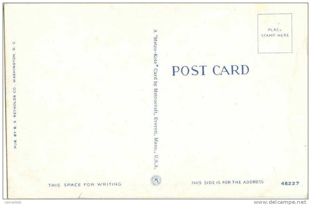 USA – United States – Washington DC – Greetings From Washington  -  Old Unused Postcard [P3004] - Washington DC