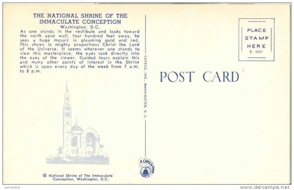 USA – United States – Washington DC – National Shrine Of The Immaculate Conception - Old Unused Chrome Postcard [P3021] - Washington DC