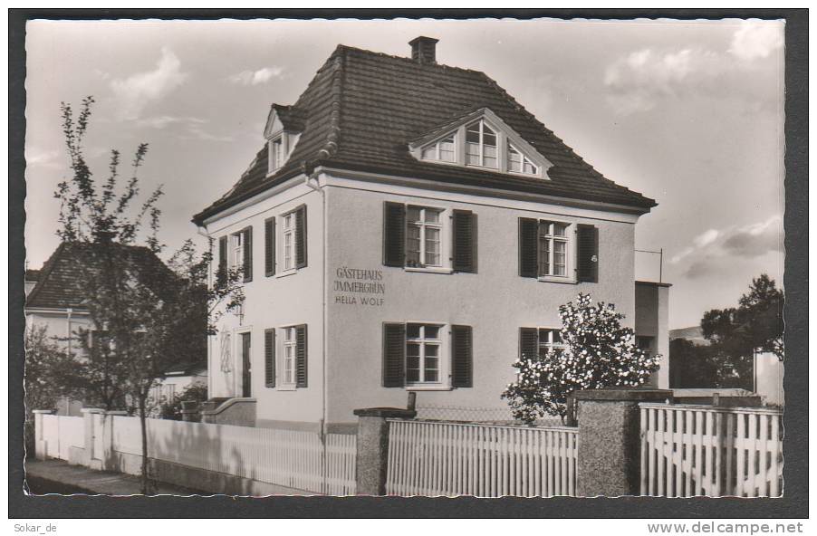 AK Bad Krozingen, Schwarzwald, Gästehaus "Immergrün", Baden-Württemberg - Bad Krozingen