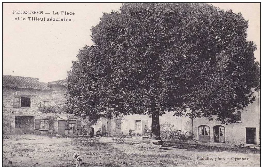 9i - 01 - Pérouges - Ain - La Place Et Le Tilleul Séculaire - Pérouges