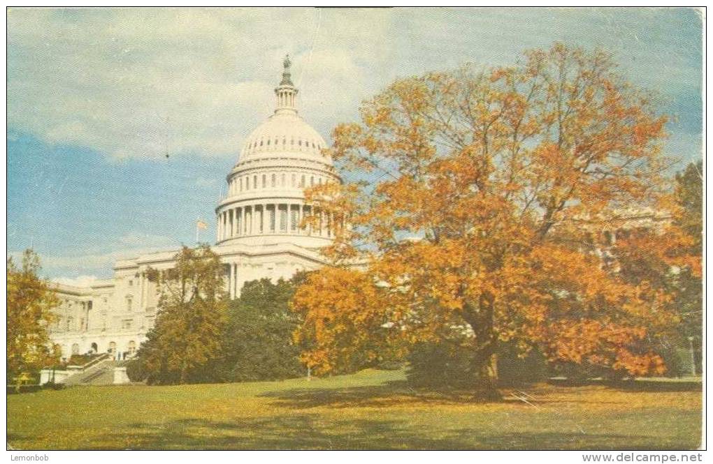 USA – United States – Washington DC – The Capitol 1950s – Unused Chrome Postcard [P3051] - Washington DC