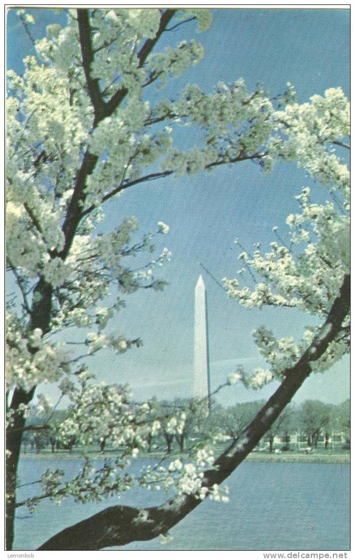 USA – United States – Washington DC - Washington Monument - Unused Postcard [P3057] - Washington DC