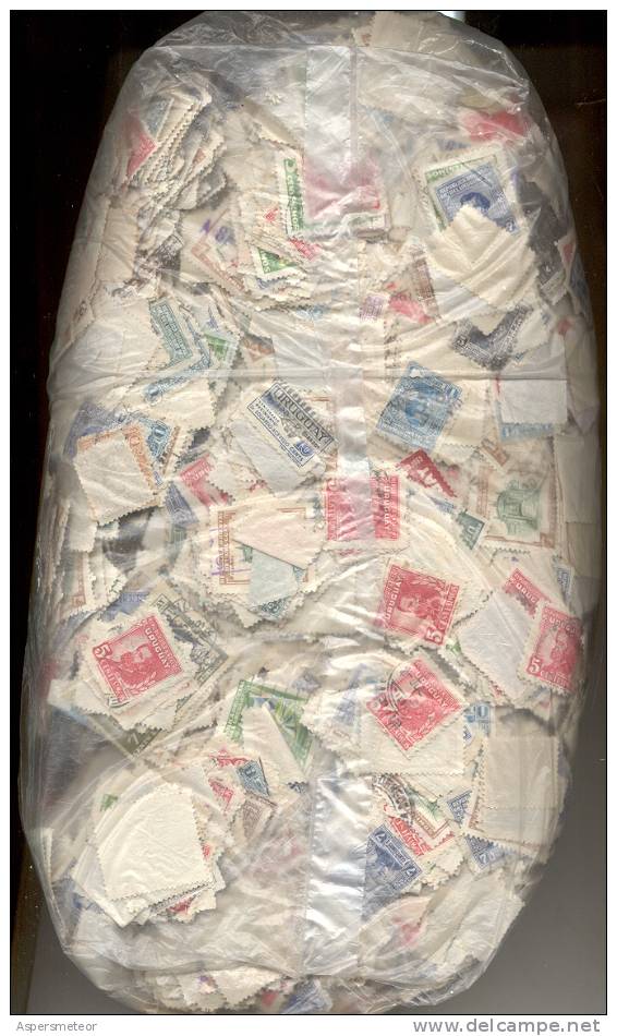 583 GRAMOS DE ESTAMPILLAS USADAS DE URUGUAY -  SOLD AS IS - SE VENDE COMO ESTA / TIMBRES OBLITERES / ORIGINAL, AUTHENTI - Kilowaar (min. 1000 Zegels)