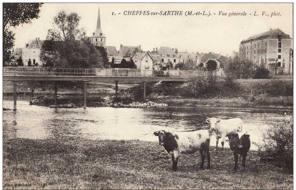 CHEFFES SUR SARTHE.  VUE GENERALE. - Autres & Non Classés