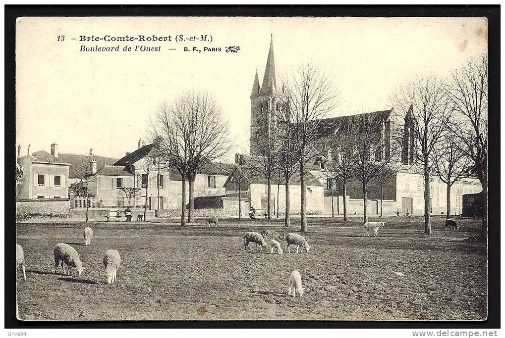 CPA  ANCIENNE- FRANCE- BRIE-COMTE-ROBERT (77)- LE BOULEVARD DE L'OUEST- MOUTONS ET AGNEAUX SUR LA PLACE- ANIMATION - Brie Comte Robert