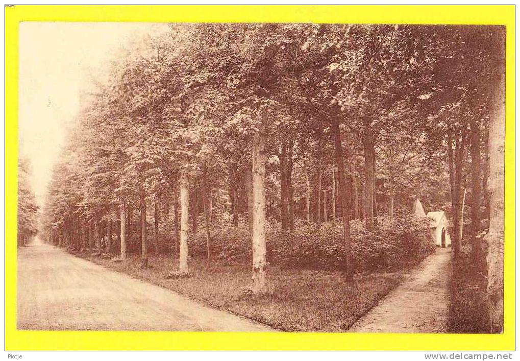 * Vorselaar (Antwerpen - Herentals) * (Uitg. Van Hoof) Kasteeldreef En Kapel, Chapelle, Drève, Old CPA, Gemeente, TOP - Vorselaar