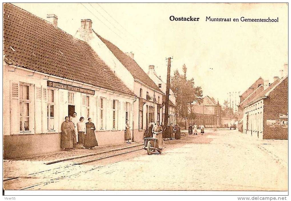 Oostacker -- Muntstraat En Gemeenteschool - Gent