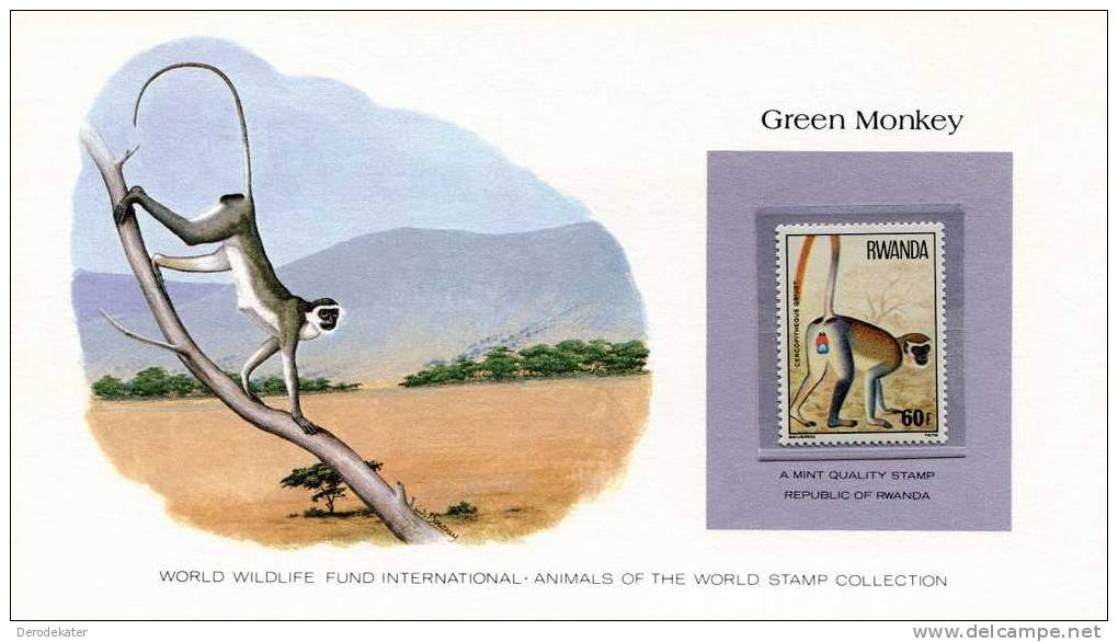 Rwanda 1978. Green Monkey. Cercopitheque Griuet. Singe Vert. Groene Meerkat. Affe. WWF. MNH**Good. New!  . - Apen