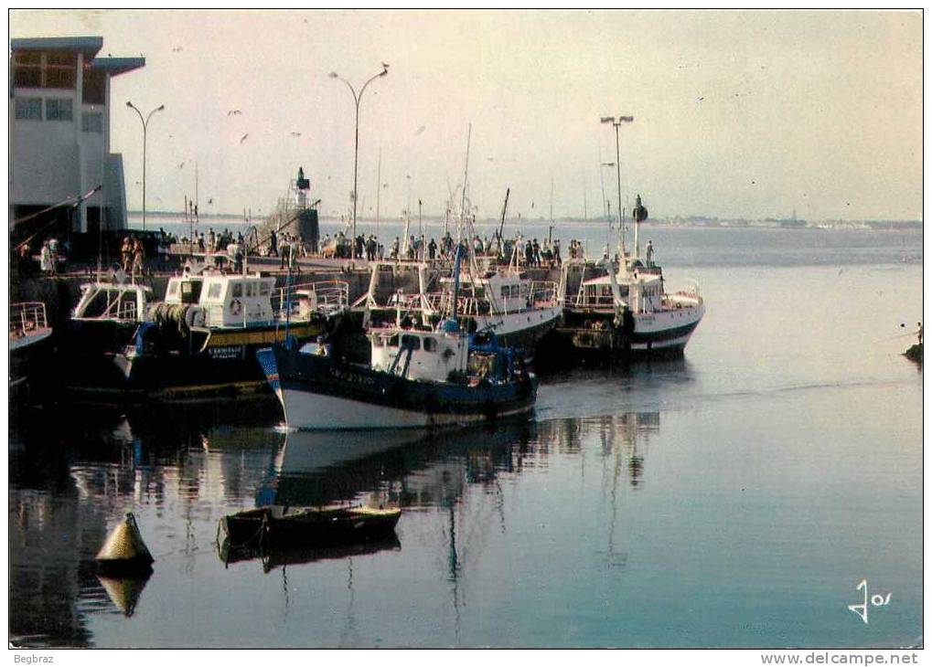 LA TURBALLE         PORT   BATEAU DE PECHE - La Turballe