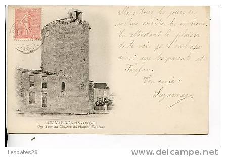 CPA 17.- ALNAY-de-SAINTONGE.- Une Tour Du Chateu Du Vicomte D'Aulnay--AV-SA  2011 495 - Aulnay