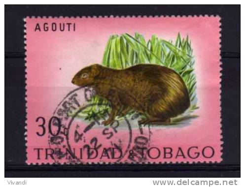 Trinidad & Tobago - 1971 - 30 Cents Trinidad Wildlife/Agouti - Used - Trinidad & Tobago (1962-...)