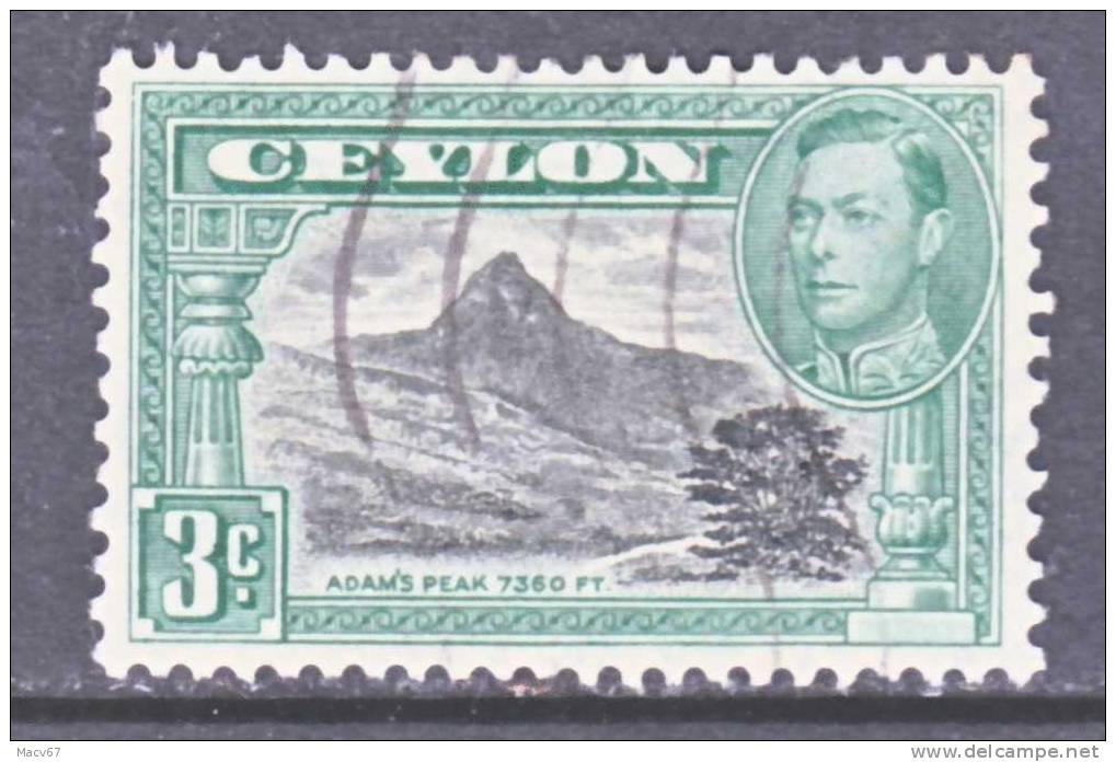 Ceylon 279  Perf  11 1/2  11    (o)  ADAMS PEAK - Ceylon (...-1947)