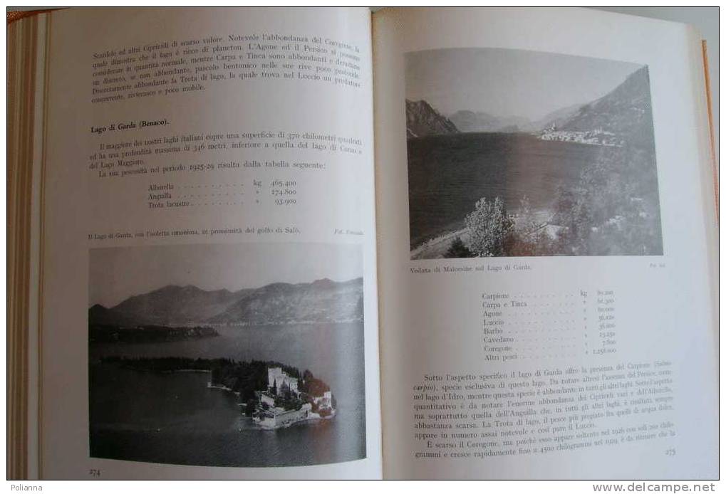 PAH/5 A.Ghigi LA PESCA UTET I Ed.1965/PESCI - Caccia E Pesca