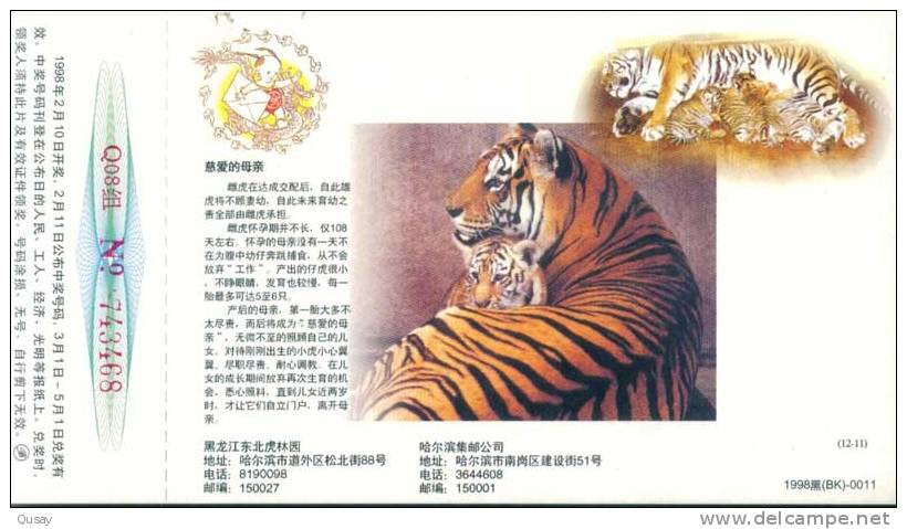 Manchurian Tiger , Rare Animal    , Pre- Stamped Card , Postal Stationery - Rhinoceros