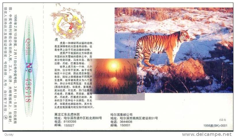 Manchurian Tiger , Rare Animal    , Pre- Stamped Card , Postal Stationery - Rhinocéros