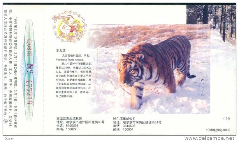 Manchurian Tiger , Rare Animal    , Pre- Stamped Card , Postal Stationery - Rhinocéros