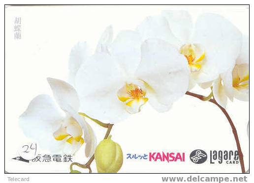 Carte Prépayée ORCHID (24) Orchidée Orquídea Orchidee Japon Japan - Bloemen