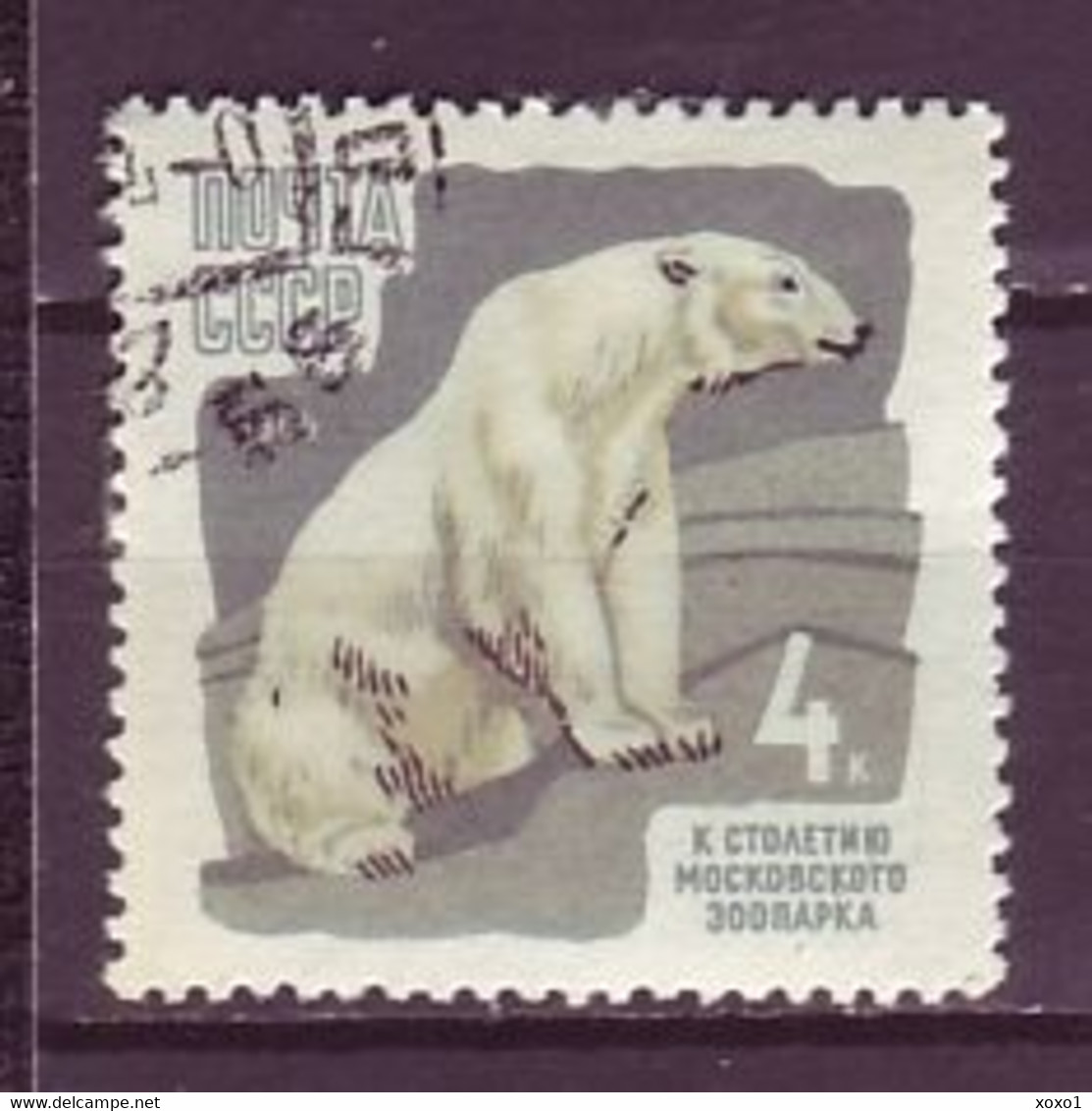 USSR Soviet Union 1964 MiNr. 2915A Sowjetunion Polar Bear  Zoo 1v Used 0,30 € - Bears