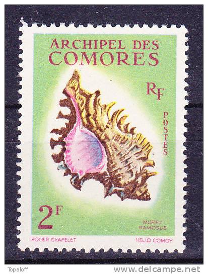 Comores N°21 Neuf  Sans Charniere - Unused Stamps