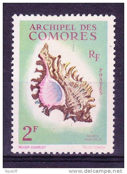 Comores N°21 Oblitéré - Used Stamps