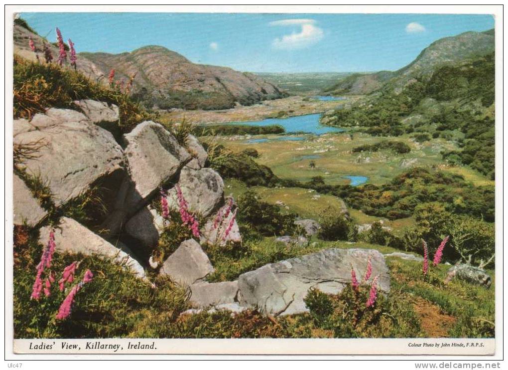 - Ladies' View, Killarney, Ireland. - Voir Scan Verso - - Kerry