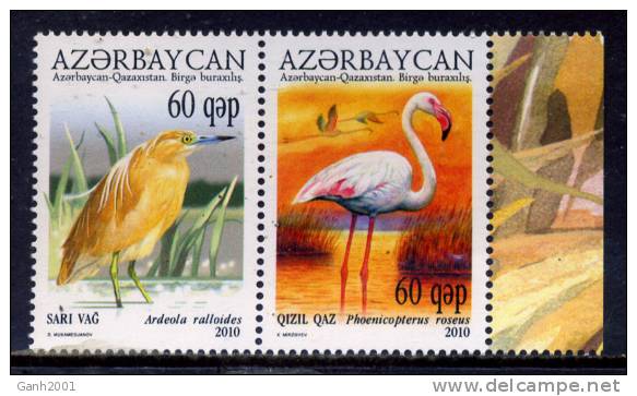 AZERBAIJAN 2010 / FAUNA AVES Birds Vögel / C3008 - Otros & Sin Clasificación