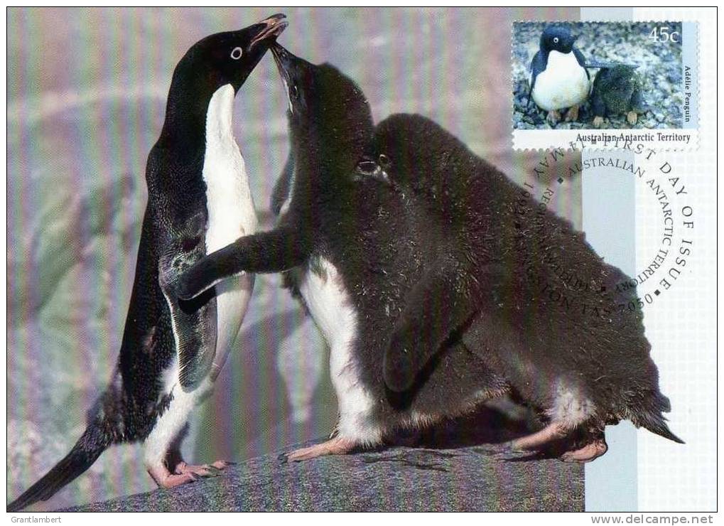 Australian Antarctic Territory 1992 45c Penguin Maximum Card - Cartes-maximum