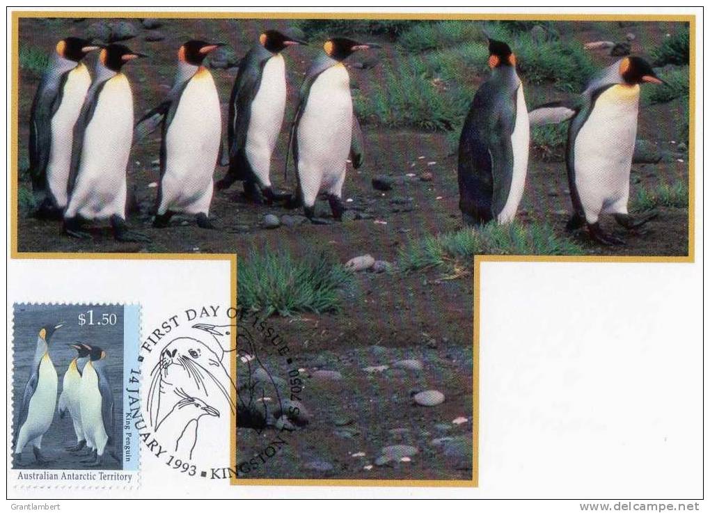 Australian Antarctic Territory 1993 $1.50 King Penguin Maximum Card - Maximumkaarten