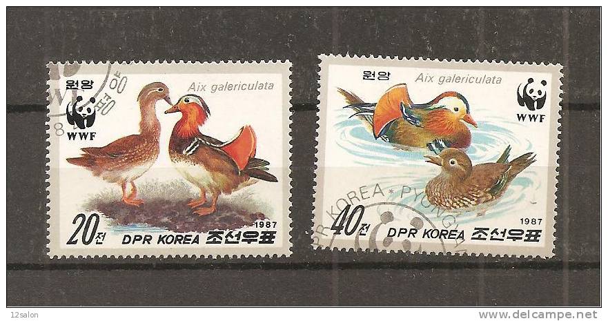 WWF Canards Koree Obl - Other & Unclassified