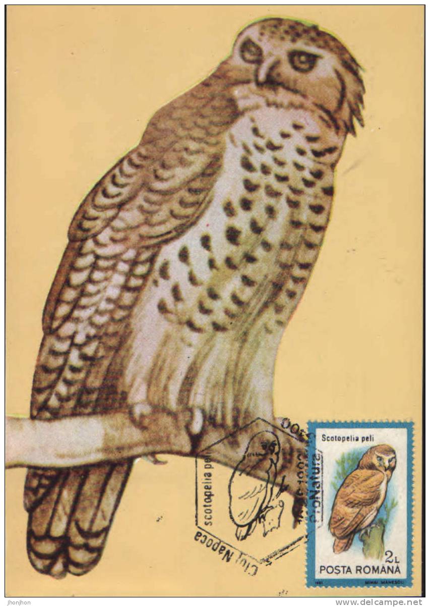 Romania- Maximum Postcard,maxicard- Birds,Pel´s Fishing-owl - Búhos, Lechuza