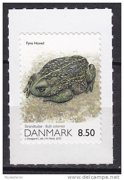 Denmark 2010 Mi. 1556     8.50 Kr Dänemarks Natur Fyns Hoved Rohrkröte Toad MNH** - Ongebruikt