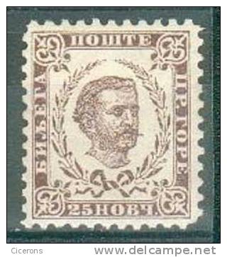 Collection MONTENEGRO ; 1889-93 ; Y&T N° 14 ; Neuf - Montenegro