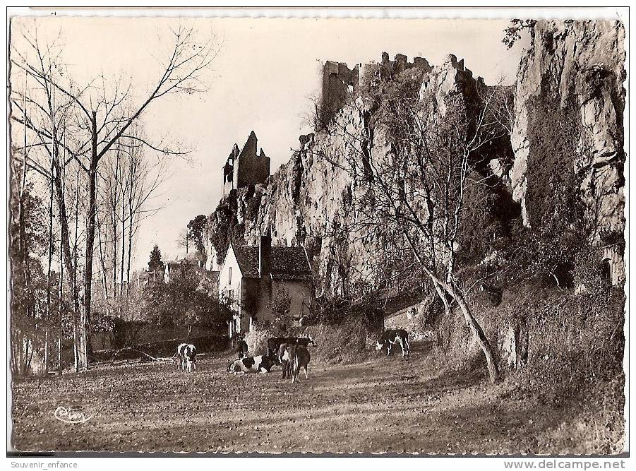 CP Angles Sur L' Anglin Ruines Du Château Fort 86 Vienne Vaches Troupeau Elevage - Autres & Non Classés