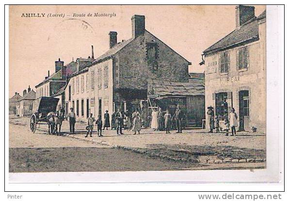 AMILLY - Route De Montargis - Amilly