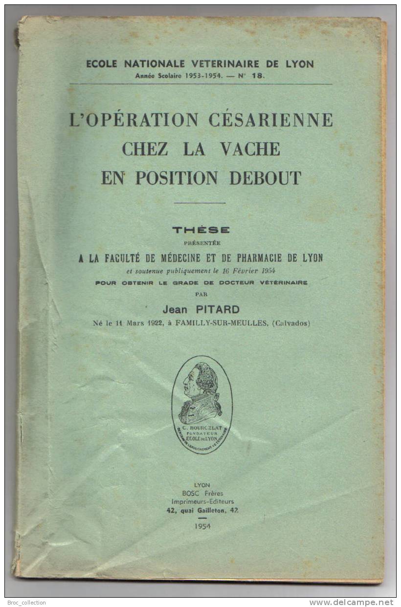 L´opération Césarienne Chez La Vache En Position Debout, Jean Pitard (Familly-sur-Meulles), Thése Vétérinaire Lyon 1954 - Animaux