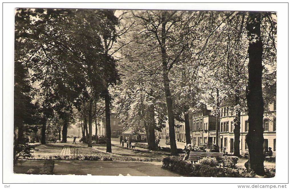 WISMAR, Mecklenburg / Vorpommern, DDR : Lindengarten ; 1960; TB - Wismar