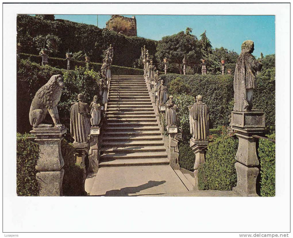 Portugal Cor 12521 – CASTELO BRANCO -JARDIM  DO PAÇO . ESCADARIA DOS APÓSTOLOS - Castelo Branco