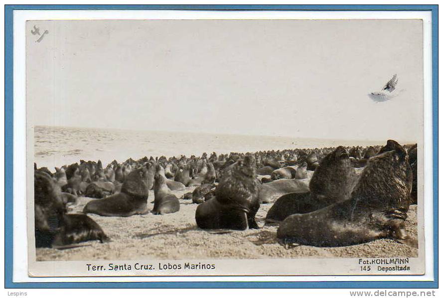 Amérique - BOLIVIE --  Territorio Santa Cruz - Lobois Marinos - Bolivien