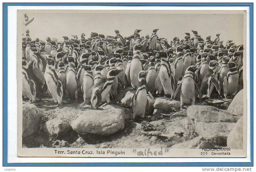 Amérique - BOLIVIE --  Territorio Santa Cruz - Isla Pinguin - Bolivia