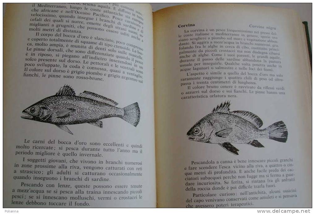 PAI/20 Ruggieri - Vay I PESCI Gazzetta Di Pesca /ill.Portalupi - Hunting & Fishing