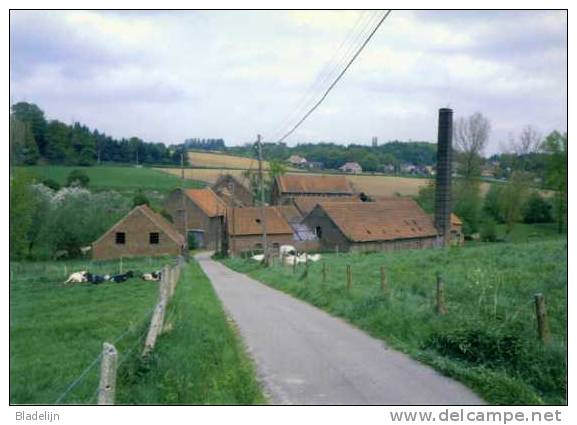 ALSEMBERG Bij Beersel (Vl.-Brab.) - Molen/moulin - Historische Opname Van De Herisemmolen Vóór De Restauratie - Beersel