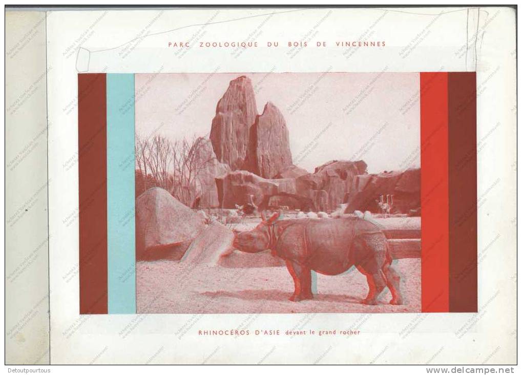 ZOO De PARIS En Relief Par Les Anaglyphes ( 3D Effet Stéréoscopique Sétréo ) - Fotografía