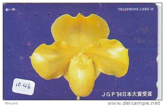 Télécarte Japon FLEUR ORCHID (1046) Orchidée Orquídea Orchidee Orquidée Orchid * Flow - Bloemen