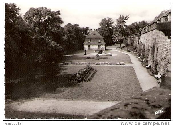 FORBACH 57 - Le Schlossberg, Un Cion Du Parc - 6205 - K-1 - Forbach