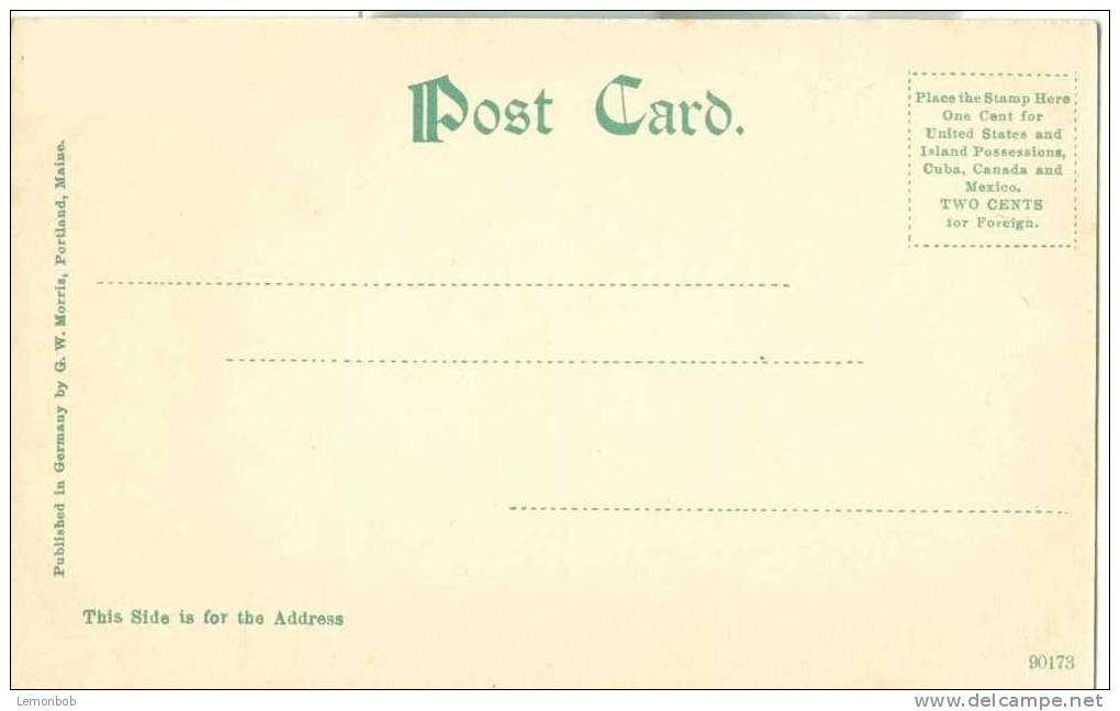 USA – United States – Fletcher Memorial Library, Ludlow, Vt. – Early 1900s Unused Postcard [P3130] - Other & Unclassified